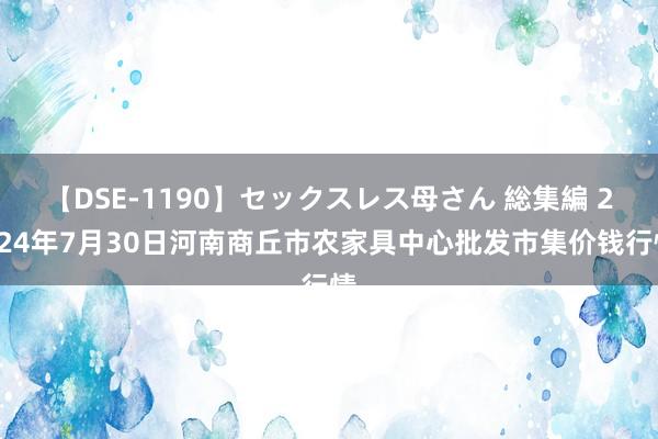 【DSE-1190】セックスレス母さん 総集編 2024年7月30日河南商丘市农家具中心批发市集价钱行情