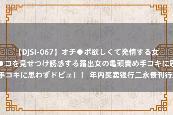 【DJSI-067】オチ●ポ欲しくて発情する女たち ところ構わずオマ●コを見せつけ誘惑する露出女の亀頭責め手コキに思わずドピュ！！ 年内买卖银行二永债刊行总数超9700亿元