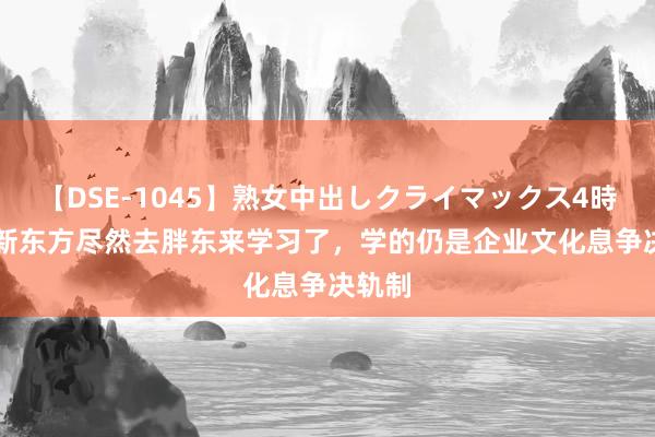 【DSE-1045】熟女中出しクライマックス4時間 4 新东方尽然去胖东来学习了，学的仍是企业文化息争决轨制