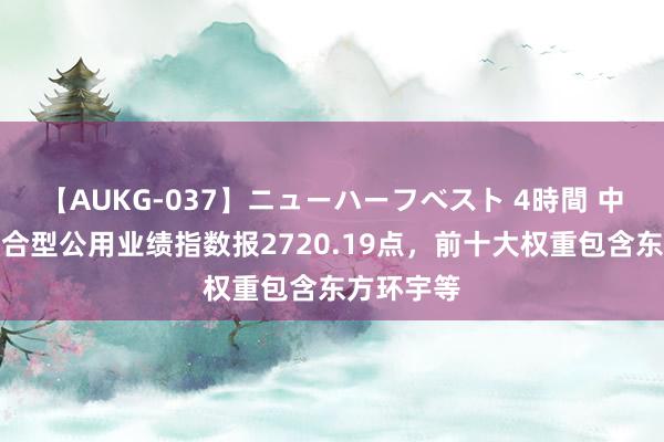 【AUKG-037】ニューハーフベスト 4時間 中证全指复合型公用业绩指数报2720.19点，前十大权重包含东方环宇等