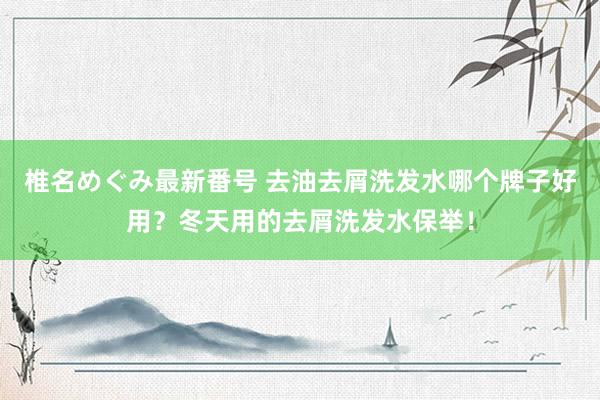 椎名めぐみ最新番号 去油去屑洗发水哪个牌子好用？冬天用的去屑洗发水保举！