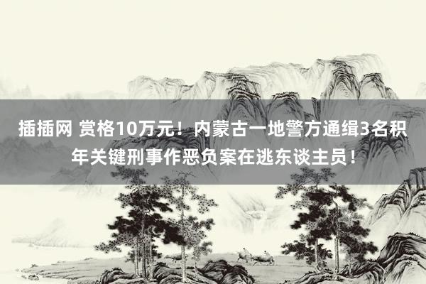 插插网 赏格10万元！内蒙古一地警方通缉3名积年关键刑事作恶负案在逃东谈主员！