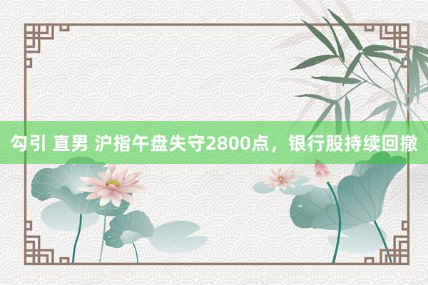 勾引 直男 沪指午盘失守2800点，银行股持续回撤