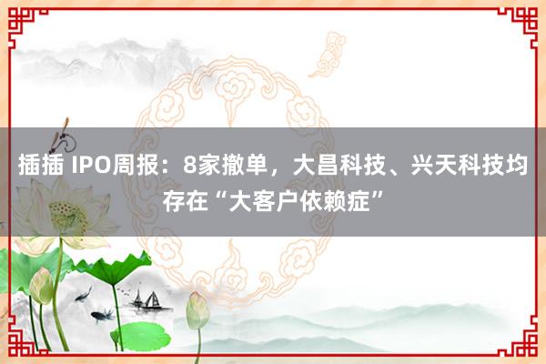 插插 IPO周报：8家撤单，大昌科技、兴天科技均存在“大客户依赖症”