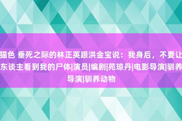 猫色 垂死之际的林正英跟洪金宝说：我身后，不要让任何东谈主看到我的尸体|演员|编剧|苑琼丹|电影导演|驯养动物