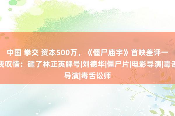 中国 拳交 资本500万，《僵尸庙宇》首映差评一派，我叹惜：砸了林正英牌号|刘德华|僵尸片|电影导演|毒舌讼师