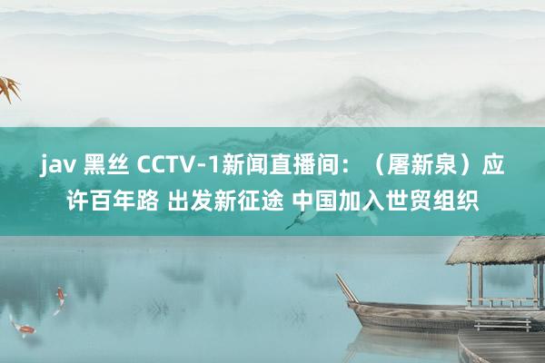 jav 黑丝 CCTV-1新闻直播间：（屠新泉）应许百年路 出发新征途 中国加入世贸组织