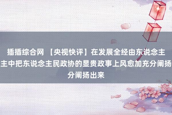 插插综合网 【央视快评】在发展全经由东说念主民民主中把东说念主民政协的显贵政事上风愈加充分阐扬出来