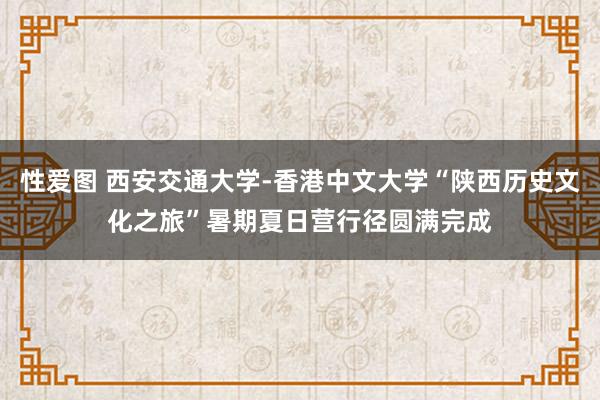 性爱图 西安交通大学-香港中文大学“陕西历史文化之旅”暑期夏日营行径圆满完成