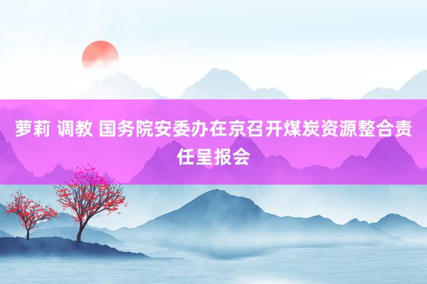 萝莉 调教 国务院安委办在京召开煤炭资源整合责任呈报会